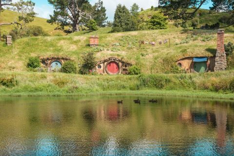 Auckland : Hobbiton, Rotorua et grottes de Waitomo