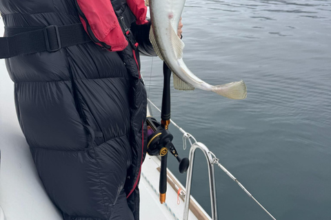 Tromsø: Authentic Fishing with Local Fisherman