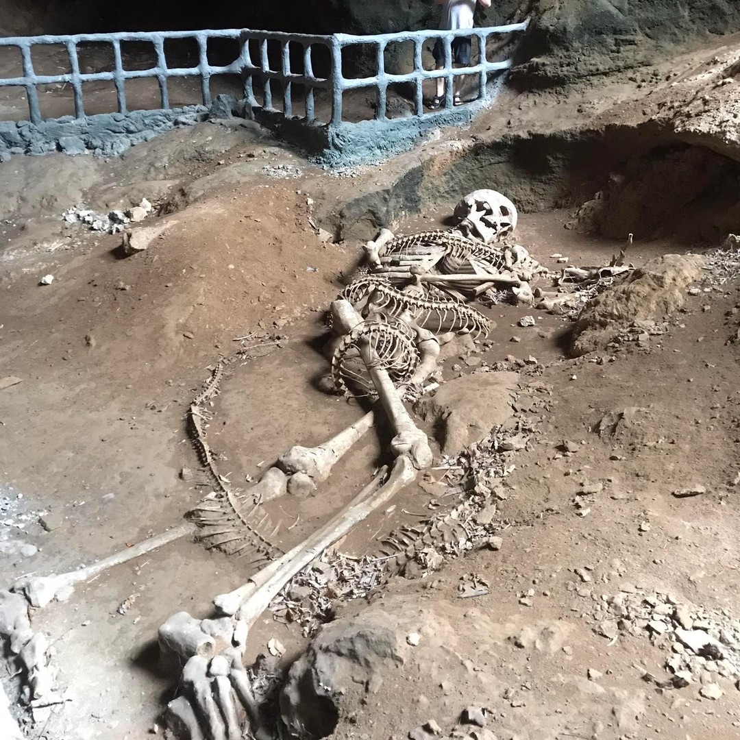 Krabi: mezza giornata in barca tra le mangrovie e alla grotta di Khao  Khanap Nam | GetYourGuide