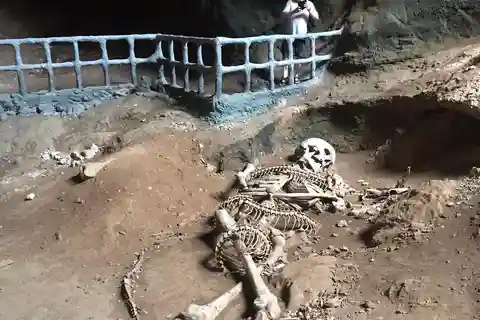 Краби: прогулка на лодке по мангровым лесам на полдня и пещера Кхао Кханап Нам