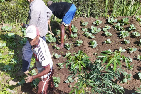 Santiago Island: Highlights Tour with Guide