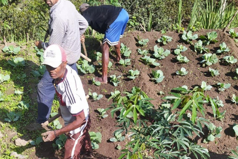 Santiago Island: Highlights Tour with Guide