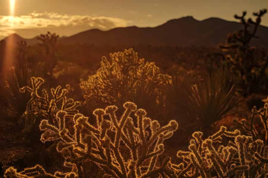 Ab Phoenix: Tagestour über die Nebenstraßen Arizonas mit Guide. Foto: GetYourGuide
