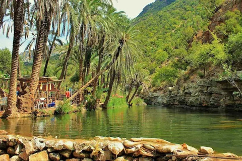 Agadir / Taghazout: Paradise Valley &amp; Atlas Mountain TripFrom Taghazout: Paradise Valley &amp; Atlas Mountain Trip