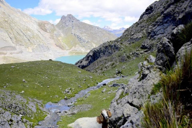 Lima: Traslado+Cordillera la Viuda+Santa Rosa de Quives+Mirador Cochapampa