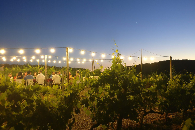 Wine Tasting and Dinner in the Vineyards of Chianti Tour in Spanish