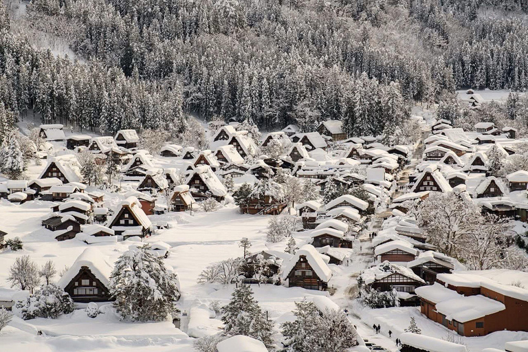 From Kanazawa: Shirakawa-go and Takayama Private Day Trip