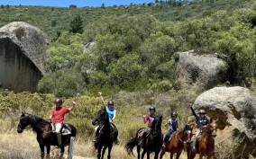 Vrede en Lust Wine Estate:1-Hour Horseback Riding Experience