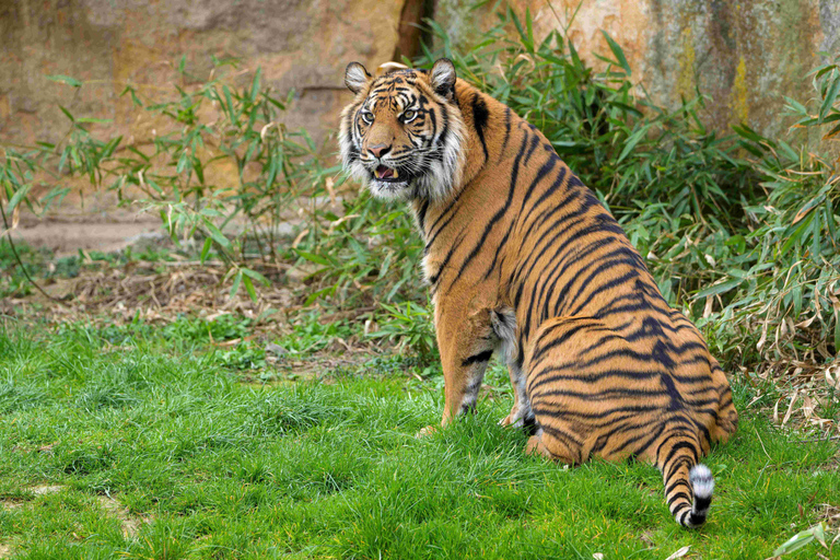 Prager Zoo: Ticket ohne Anstehen Einlass ohne Anstehen