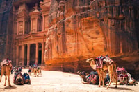 De Petra, Petra Day Tour - Housity