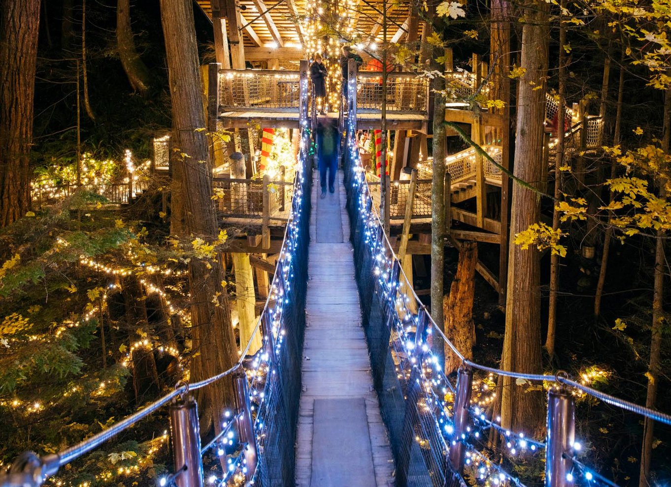 Vancouver: Capilano Suspension Bridge Park billet