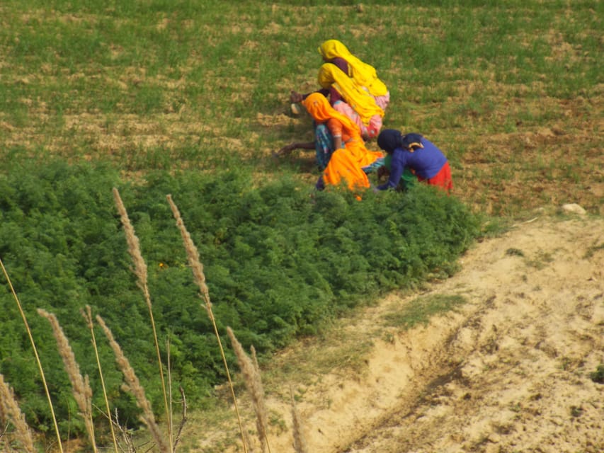 Privétour per jeep en gids | GetYourGuide