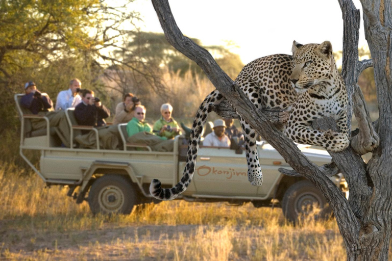 Excursión de Aventura Sabor a Namibia