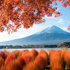 From Tokyo: Must-Visit Mount Fuji Highlight Full-Day Tour
