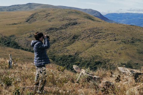 From São Paulo: 5-Day Serra da Canastra Wildlife Safari