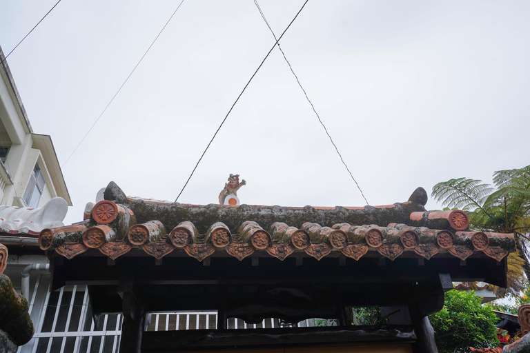 Naha: Okinawa Shuri Castle Peace Walking Tour
