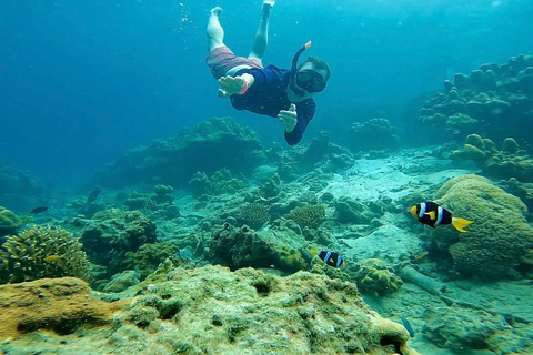 Phuket: Phi Phi Islands Late Departure Tour with Lunch Tour with Shared Hotel Transfer