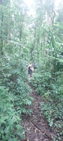 Munduk , Jungle Trekking,Canoeing & Balinese Cooking class - Housity