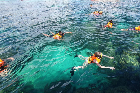 Phuket: Phi Phi Islands Early Bird Speedboat Tour & Buffet