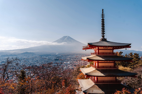 From Tokyo: Mount Fuji Full Day Customizable Private Tour