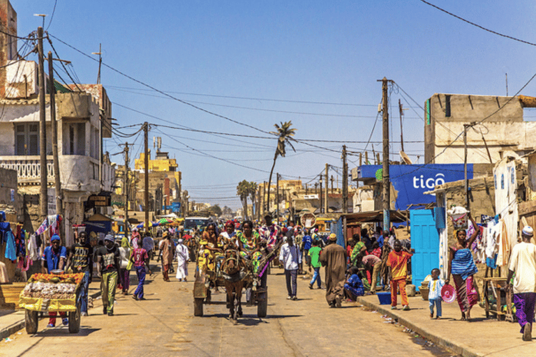 From Dakar: Saint-Louis & Djoudj Bird Sanctuary 2-Day Tour