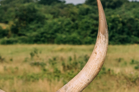 From Kampala: 4-Day Queen Elizabeth & Lake Mburo Safari Tour
