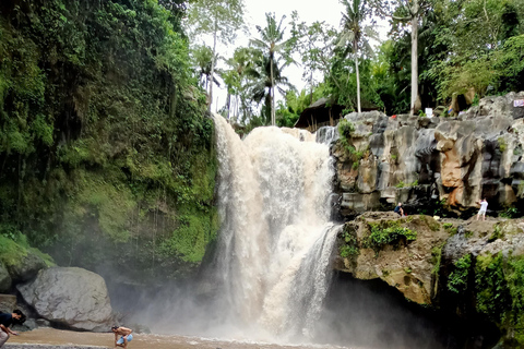 Ubud: Tour particular pela floresta de macacos, templo e cachoeiraPasseio com almoço