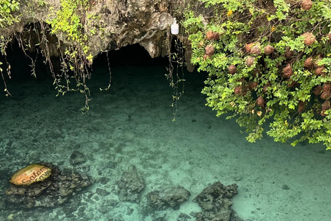 Sansibar:Schwimmen mit Schildkröten in der Salaam-Höhle