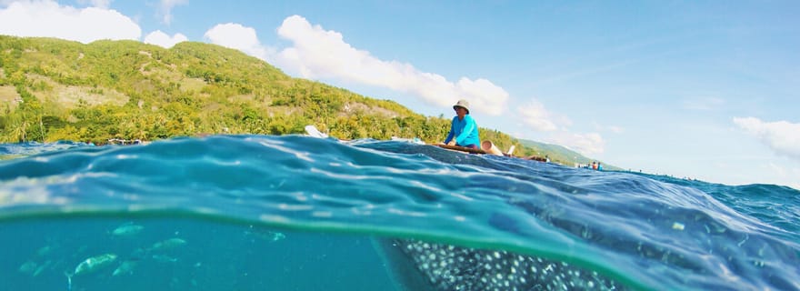 Cebu : Rencontre avec un requin-baleine et canyoning à Kawasan