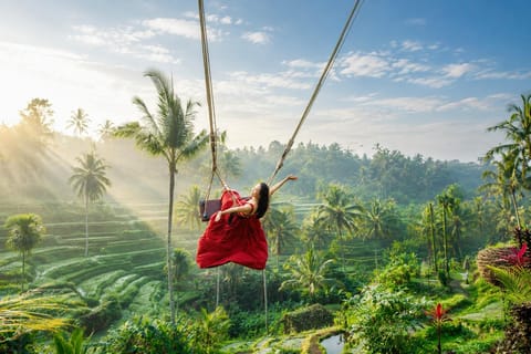 Ubud Tour with Optional English, Spanish and Italian Guide
