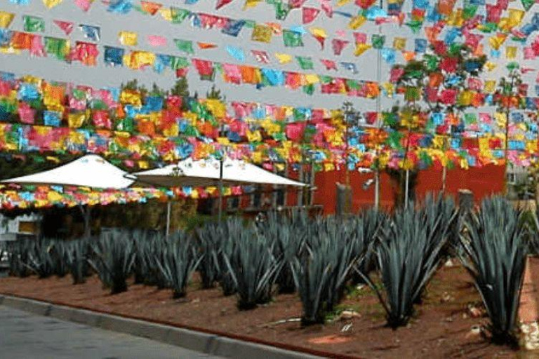 CDMX: Abendtour zur Plaza Garibaldi