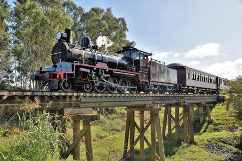 Sunshine Coast: Mary Valley Rattler Ticket from Gympie