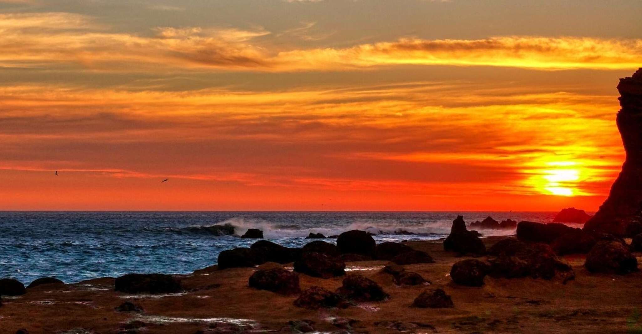 From Paracas-Sunset trekking in the Paracas National Reserve - Housity