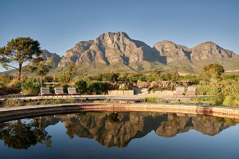 Cape Town: 5-Day Winelands, Safari & City Tour