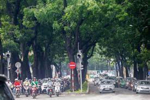 Saigon City Half Day Tour Private Tour