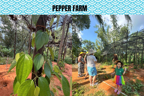 PHU QUOC CAR CHARTER - 5 SEATERS 12 HOURS