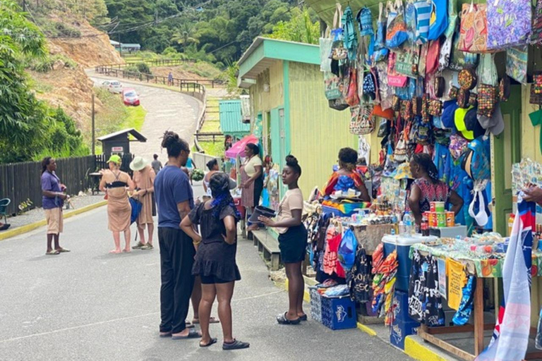 St. Lucia: Private Customizable Day Tour with Driver