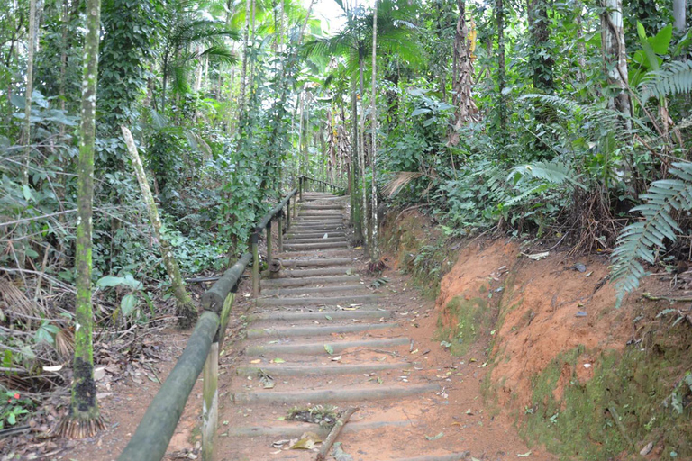 Aventure en Jeep à Paraty : sentier écologique, distillerie et baignade dans la rivièreAventure en Jeep à Paraty : parcours écologique, distillerie et baignade dans la rivièr