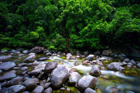 Port Douglas: Half Day Tour - Mossman Gorge & Daintree River