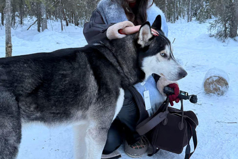 Levi: 1.5 km Thrilling Husky Sled Ride 1.5 km Thrilling Husky Sled Ride