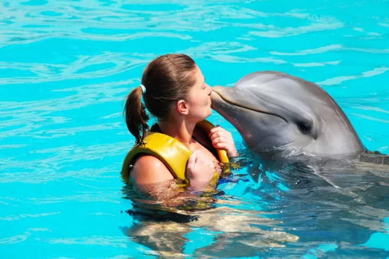 Punta Cana: Dolphin Explorer Swims and Interactions