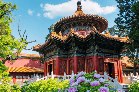 Beijing: Forbidden City Admission Ticket + Tour Guide