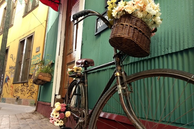 比尼亚德尔马、雷尼亚卡和康康之旅