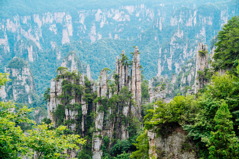 Merveilleuse excursion d&#039;une journée à Zhangjiajie avec le parc forestier national