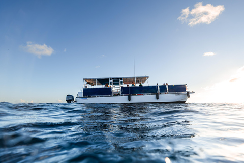 Oahu: Scenic Diamond Head Sunset Cruise (BYOB)