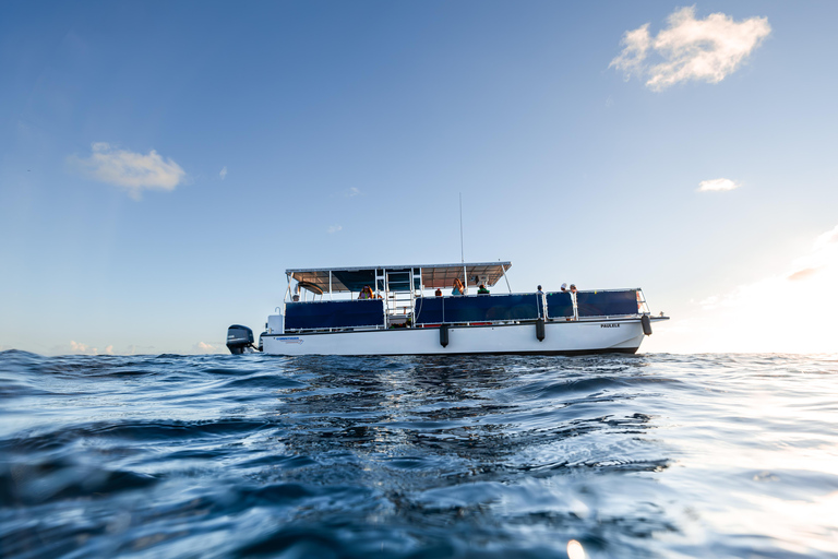 Oahu: Scenic Diamond Head Sunset Cruise (BYOB)