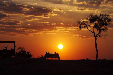Pilanesberg: Morning-to-Sunrise Safari in an Open Vehicle Small Group Sharing Rate
