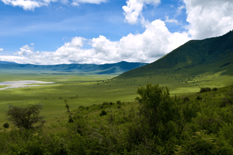 Tanzania: 8-Day Safari Tour with Accommodation