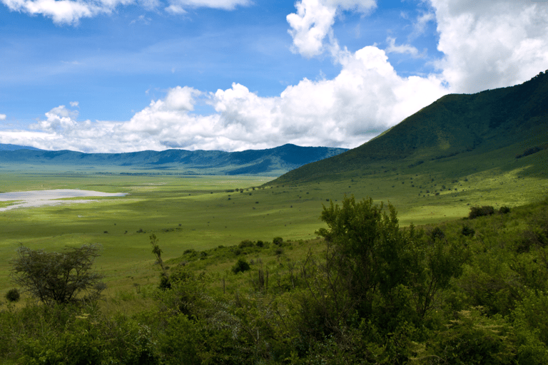 Tanzania: 8-Day Safari Tour with Accommodation