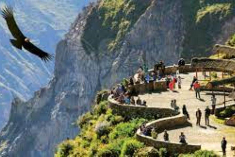 2D Colca Canyon from Puno